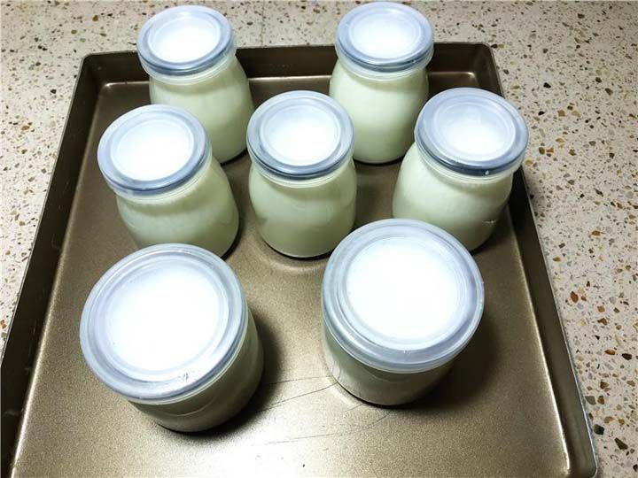 Fermented plain yogurt showing smooth texture