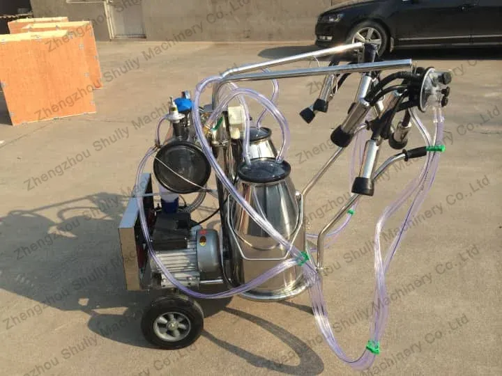 How Shuliy Milking Machines Help Thai Dairy Farmers Increase Productivity: A Success Story